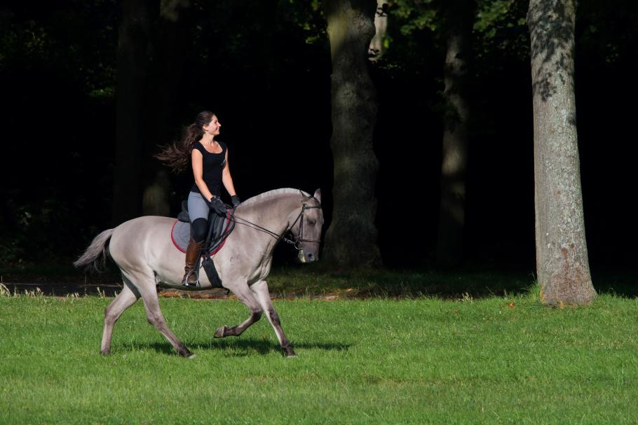 Vivre comme une Princesse à Versailles | Rêve Équestre Royal 👸