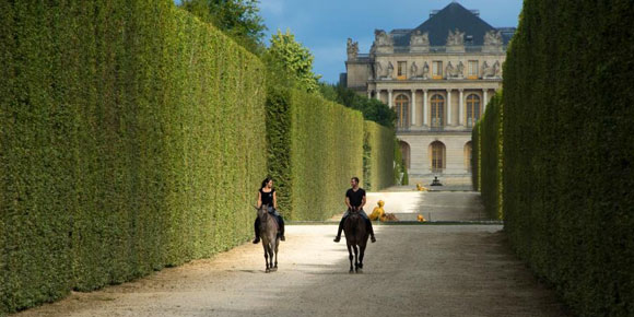 Versailles — Lusitano