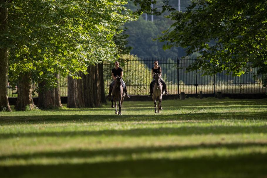 Two riders in the Versailles park alleys